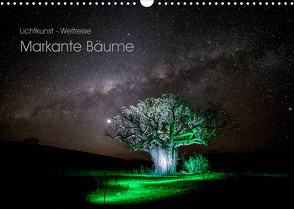 Lichtkunst – Weltreise Markante Bäume (Wandkalender 2023 DIN A3 quer) von Heilmann,  Gunnar