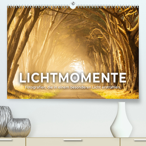 Lichtmomente – Fotografien, die in einem besonderen Licht erstrahlen. (Premium, hochwertiger DIN A2 Wandkalender 2023, Kunstdruck in Hochglanz) von SF