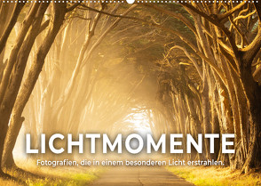 Lichtmomente – Fotografien, die in einem besonderen Licht erstrahlen. (Wandkalender 2022 DIN A2 quer) von SF