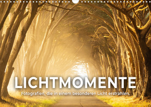 Lichtmomente – Fotografien, die in einem besonderen Licht erstrahlen. (Wandkalender 2022 DIN A3 quer) von SF