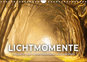 Lichtmomente – Fotografien, die in einem besonderen Licht erstrahlen. (Wandkalender 2022 DIN A4 quer) von SF