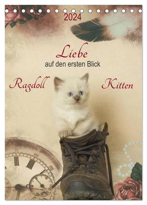 Liebe auf den ersten Blick . Ragdoll Kitten (Tischkalender 2024 DIN A5 hoch), CALVENDO Monatskalender von Reiß-Seibert,  Marion