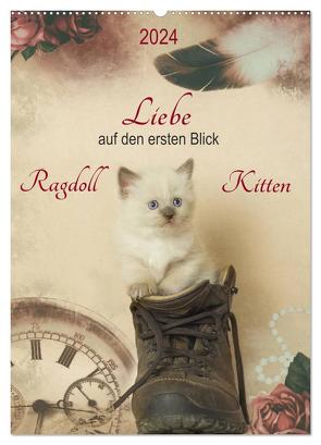 Liebe auf den ersten Blick . Ragdoll Kitten (Wandkalender 2024 DIN A2 hoch), CALVENDO Monatskalender von Reiß-Seibert,  Marion