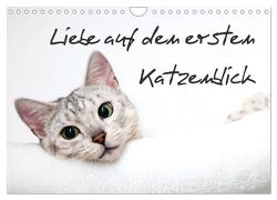 Liebe auf den ersten Katzenblick (Wandkalender 2024 DIN A4 quer), CALVENDO Monatskalender von Enderlein - Bethari Bengals,  Sylke