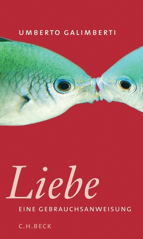 Liebe. Eine Gebrauchsanweisung von Galimberti,  Umberto, Kopetzki,  Annette