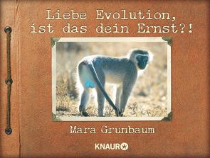 Liebe Evolution, ist das dein Ernst?! von Grunbaum,  Mara, Zauner,  Antonia