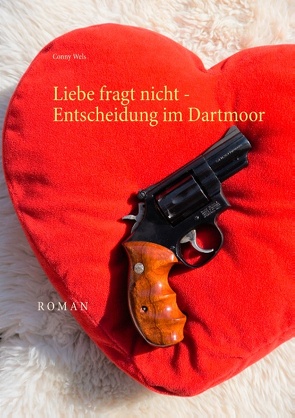 Liebe fragt nicht – Entscheidung im Dartmoor von Wels,  Conny