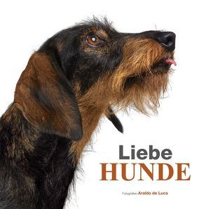 Liebe Hunde von DeLuca,  Araldo