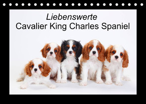 Liebenswerte Cavalier King Charles Spaniel (Tischkalender 2023 DIN A5 quer) von Wegner,  Petra