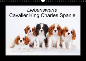 Liebenswerte Cavalier King Charles Spaniel (Wandkalender 2023 DIN A3 quer) von Wegner,  Petra