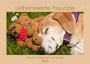 Liebenswerte Freunde – Azawakh-Ridgeback mit Teddys (Tischkalender 2023 DIN A5 quer) von Bölts,  Meike