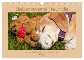 Liebenswerte Freunde – Azawakh-Ridgeback mit Teddys (Wandkalender 2024 DIN A4 quer), CALVENDO Monatskalender von Bölts,  Meike