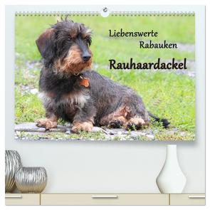 Liebenswerte Rabauken Rauhaardackel / CH-Version (hochwertiger Premium Wandkalender 2024 DIN A2 quer), Kunstdruck in Hochglanz von Mielewczyk,  Barbara