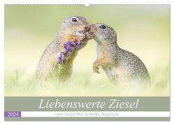 Liebenswerte Ziesel – vom Aussterben bedrohte Nagetiere (Wandkalender 2024 DIN A2 quer), CALVENDO Monatskalender von Petzl,  Perdita