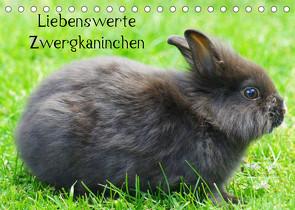 Liebenswerte Zwergkaninchen (Tischkalender 2023 DIN A5 quer) von kattobello