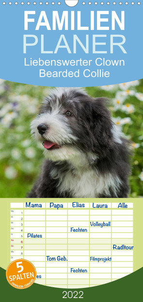 Familienplaner Liebenswerter Clown Bearded Collie (Wandkalender 2022 , 21 cm x 45 cm, hoch) von Starick,  Sigrid