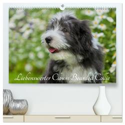 Liebenswerter Clown Bearded Collie (hochwertiger Premium Wandkalender 2024 DIN A2 quer), Kunstdruck in Hochglanz von Starick,  Sigrid