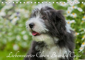 Liebenswerter Clown Bearded Collie (Tischkalender 2022 DIN A5 quer) von Starick,  Sigrid