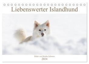 Liebenswerter Islandhund (Tischkalender 2024 DIN A5 quer), CALVENDO Monatskalender von Scheurer,  Monika