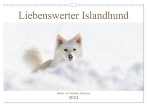 Liebenswerter Islandhund (Wandkalender 2024 DIN A3 quer), CALVENDO Monatskalender von Scheurer,  Monika