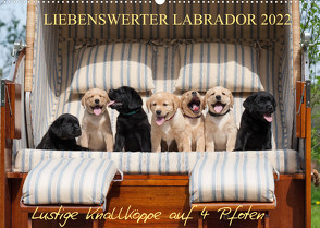 Liebenswerter Labrador 2022 (Wandkalender 2022 DIN A2 quer) von Mirsberger,  Annett