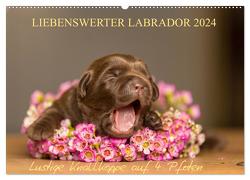 Liebenswerter Labrador 2024 (Wandkalender 2024 DIN A2 quer), CALVENDO Monatskalender von Mirsberger,  Annett