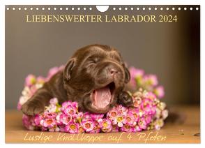 Liebenswerter Labrador 2024 (Wandkalender 2024 DIN A4 quer), CALVENDO Monatskalender von Mirsberger,  Annett