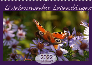 L(i)ebenswertes Lebenskluges (Wandkalender 2022 DIN A2 quer) von Flori0