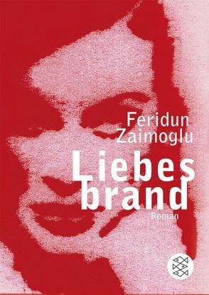 Liebesbrand von Zaimoglu,  Feridun