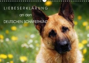 Liebeserklärung an den Schäferhund (Wandkalender 2018 DIN A3 quer) von Dogluxury.de