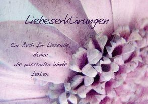 Liebeserklärungen (Posterbuch DIN A2 quer) von Hultsch,  Heike