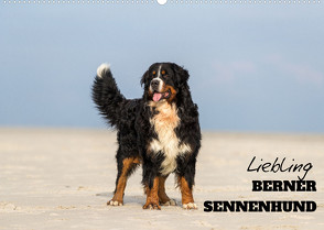 Liebling BERNER SENNENHUND (Wandkalender 2023 DIN A2 quer) von Mirsberger,  Annett, www.annettmirsberger.de