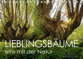 Lieblingsbäume – eins mit der Natur (Tischkalender 2019 DIN A5 quer) von Allgaier (ullision),  Ulrich