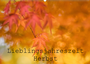 Lieblingsfarbe Herbst (Wandkalender 2021 DIN A2 quer) von Tjarks,  Kathleen