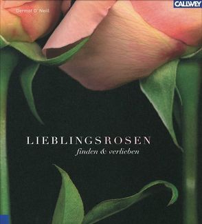 Lieblingsrosen von O'Neill,  Dermot