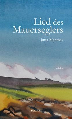 Lied des Mauerseglers von Manthey,  Jutta