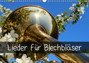 Lieder für Blechbläser (Wandkalender 2021 DIN A3 quer) von und Wolfgang Michel,  Ingrid