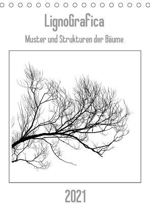 LignoGrafica – Muster und Strukturen der Bäume (Tischkalender 2021 DIN A5 hoch) von Tessarolo,  Franco