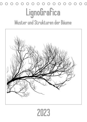 LignoGrafica – Muster und Strukturen der Bäume (Tischkalender 2023 DIN A5 hoch) von Tessarolo,  Franco