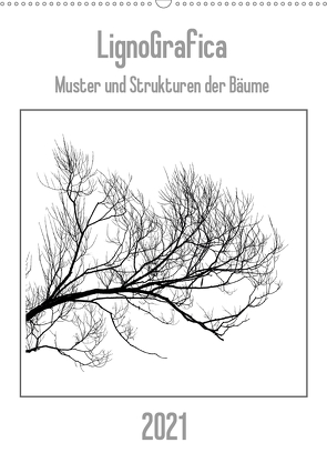 LignoGrafica – Muster und Strukturen der Bäume (Wandkalender 2021 DIN A2 hoch) von Tessarolo,  Franco