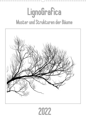 LignoGrafica – Muster und Strukturen der Bäume (Wandkalender 2022 DIN A2 hoch) von Tessarolo,  Franco