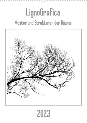 LignoGrafica – Muster und Strukturen der Bäume (Wandkalender 2023 DIN A2 hoch) von Tessarolo,  Franco