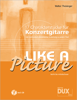 Like A Picture von Theisinger,  Walter