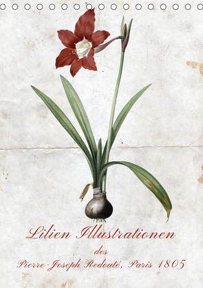 Lilien Illustrationen des Pierre-Joseph Redouté, Paris 1805 (Tischkalender 2021 DIN A5 hoch) von Bonheur18 Switzerland Marena Camadini,  Kavodedition