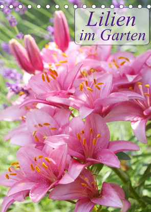 Lilien im Garten (Tischkalender 2023 DIN A5 hoch) von Kruse,  Gisela