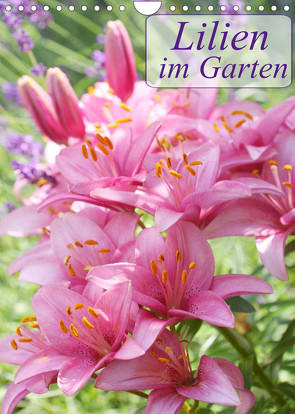 Lilien im Garten (Wandkalender 2022 DIN A4 hoch) von Kruse,  Gisela