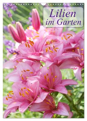 Lilien im Garten (Wandkalender 2024 DIN A3 hoch), CALVENDO Monatskalender von Kruse,  Gisela