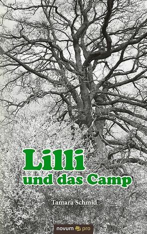 Lilli und das Camp von Schmid,  Tamara