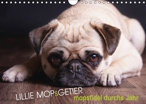 Lillie Mopsgetier – mopsfidel durchs Jahr (Wandkalender 2018 DIN A4 quer) von Raab,  Martina