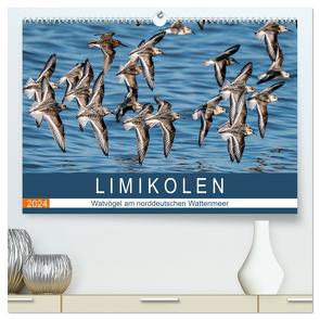 Limikolen – Watvögel am norddeutschen Wattenmeer (hochwertiger Premium Wandkalender 2024 DIN A2 quer), Kunstdruck in Hochglanz von Wünsche,  Arne